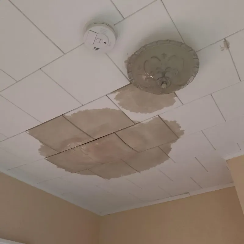 Ceiling Water Damage Repair in Rankin, PA