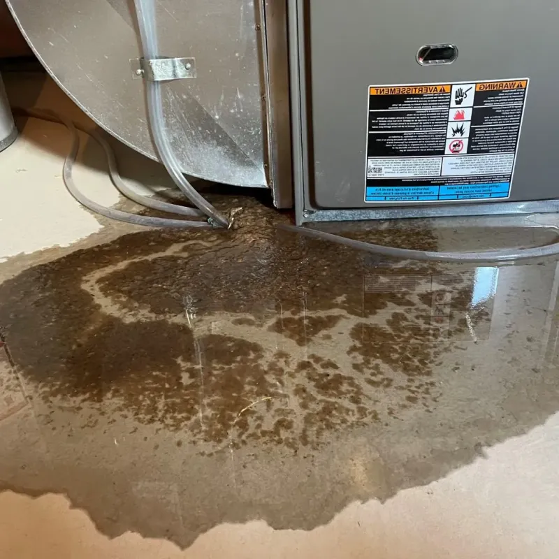 Pipe Burst and Leak Restoration in Rankin, PA