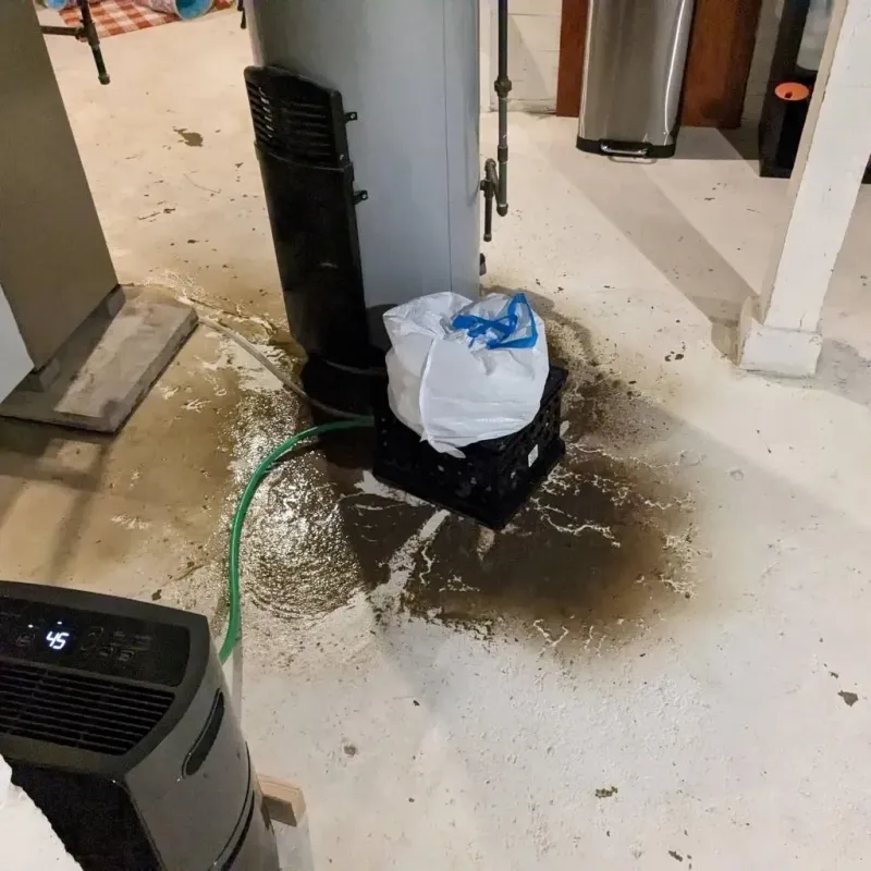 Sewage Backup Cleanup Service in Rankin, PA
